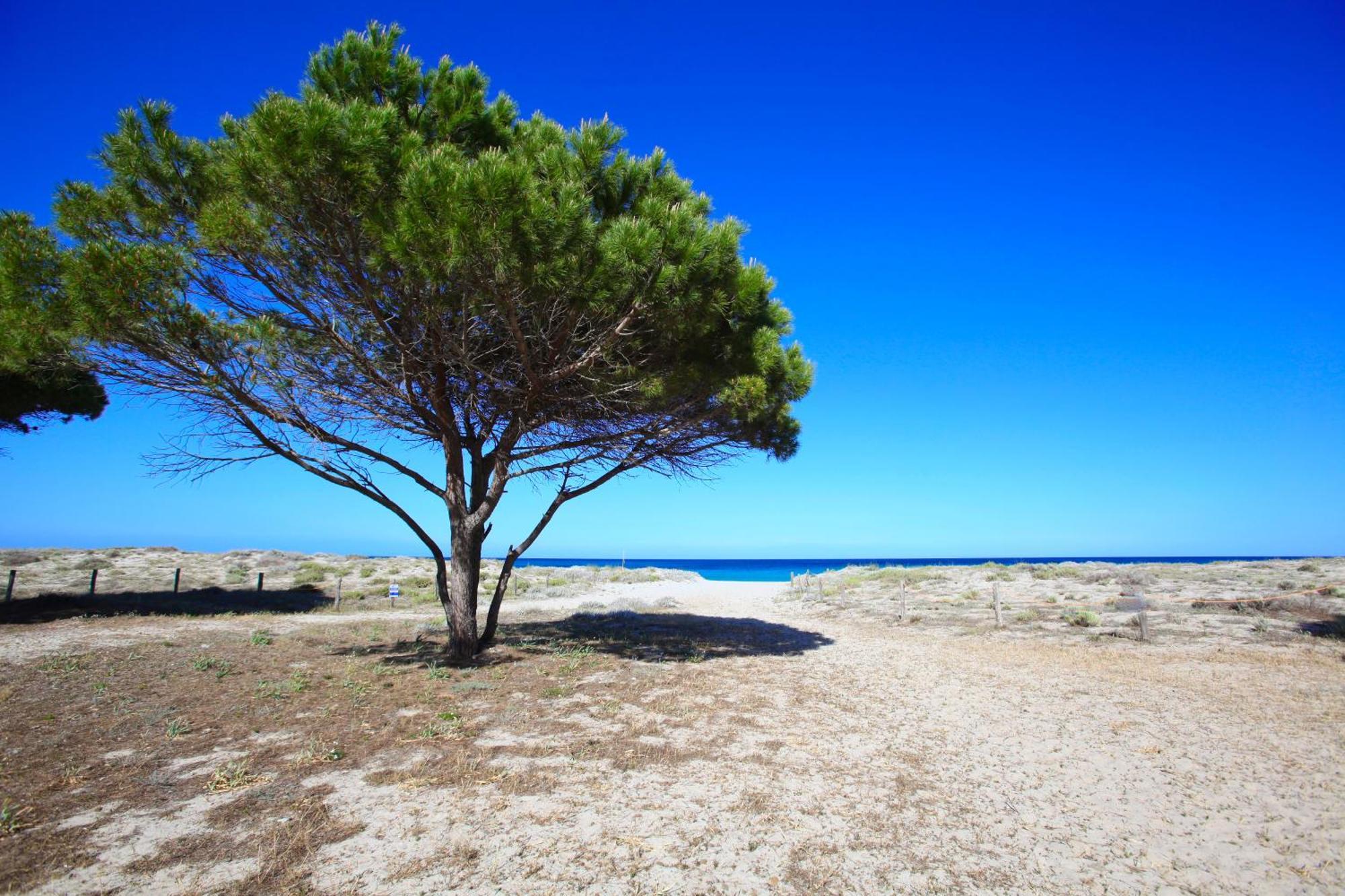 Resort Abbaia Ba Будоні Екстер'єр фото