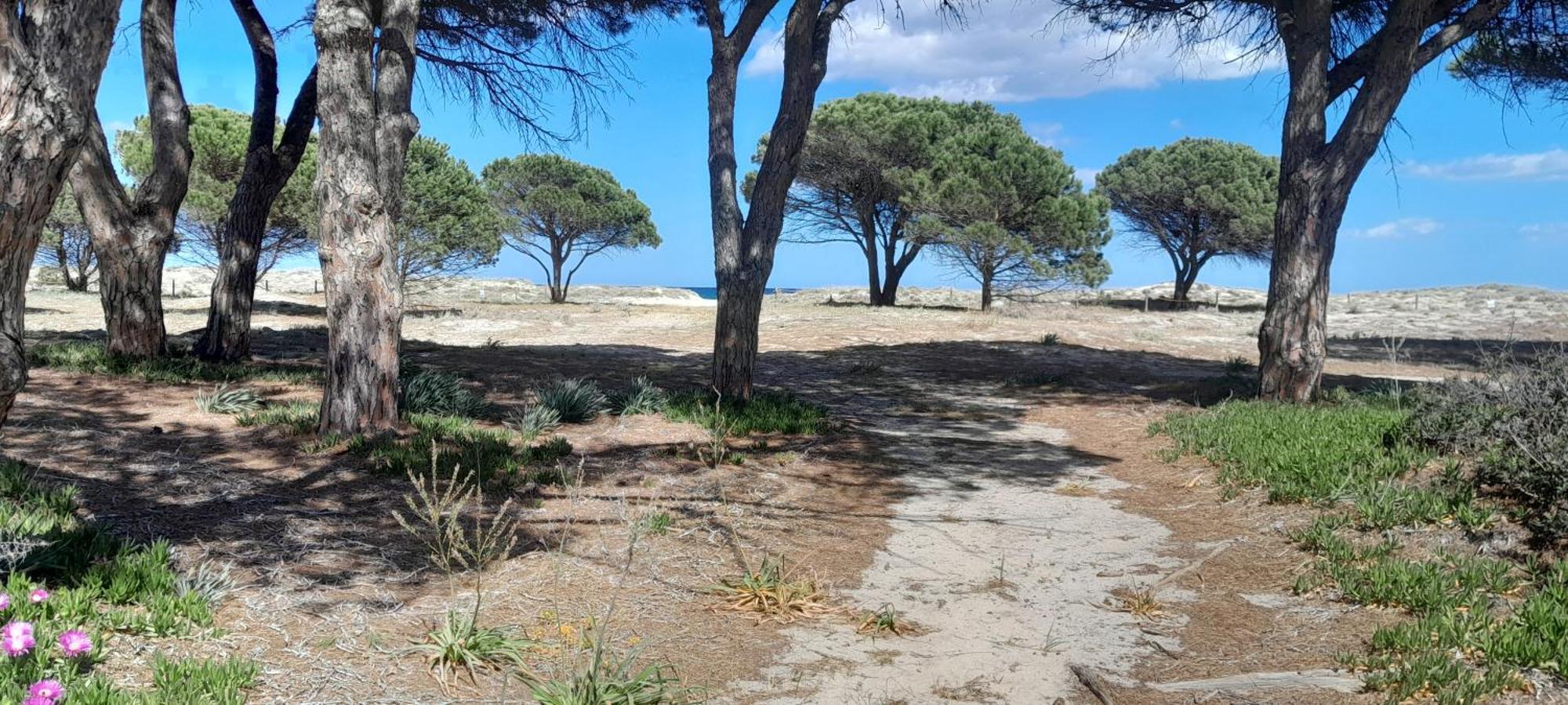 Resort Abbaia Ba Будоні Екстер'єр фото