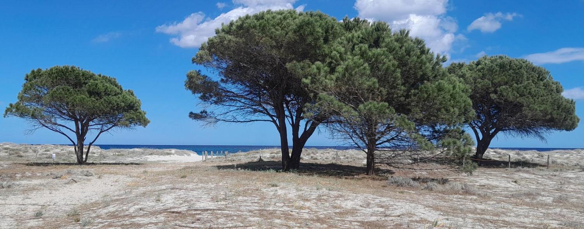 Resort Abbaia Ba Будоні Екстер'єр фото
