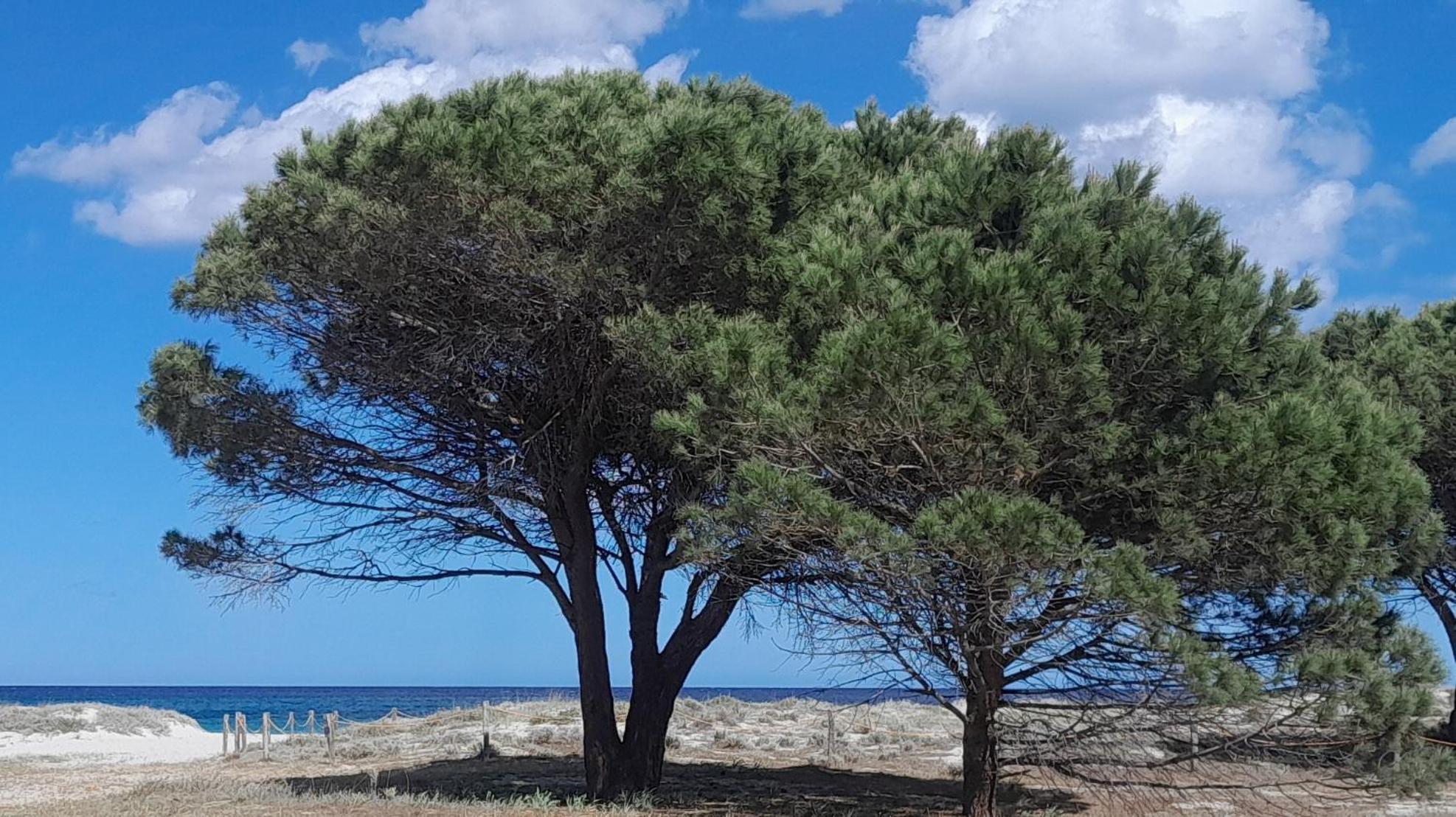 Resort Abbaia Ba Будоні Екстер'єр фото