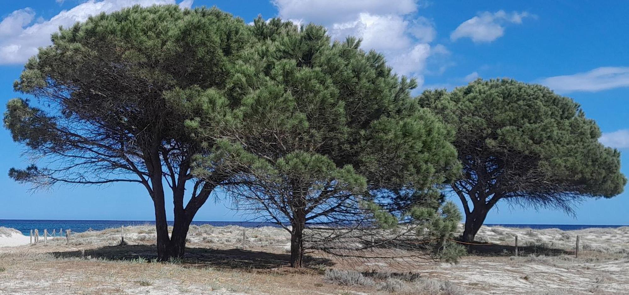 Resort Abbaia Ba Будоні Екстер'єр фото