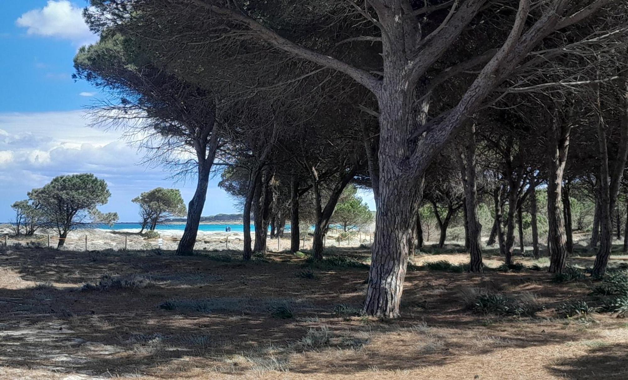 Resort Abbaia Ba Будоні Екстер'єр фото